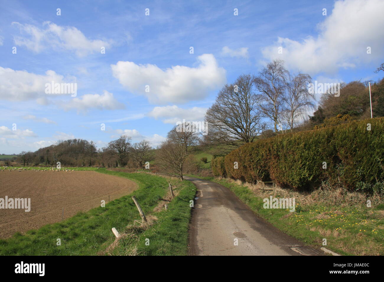 A SUNNY VIEW OF A LONG RURAL COUNTRY LANE IN EAST SUSSEX UK TAKEN IN WINTER Stock Photo Alamy