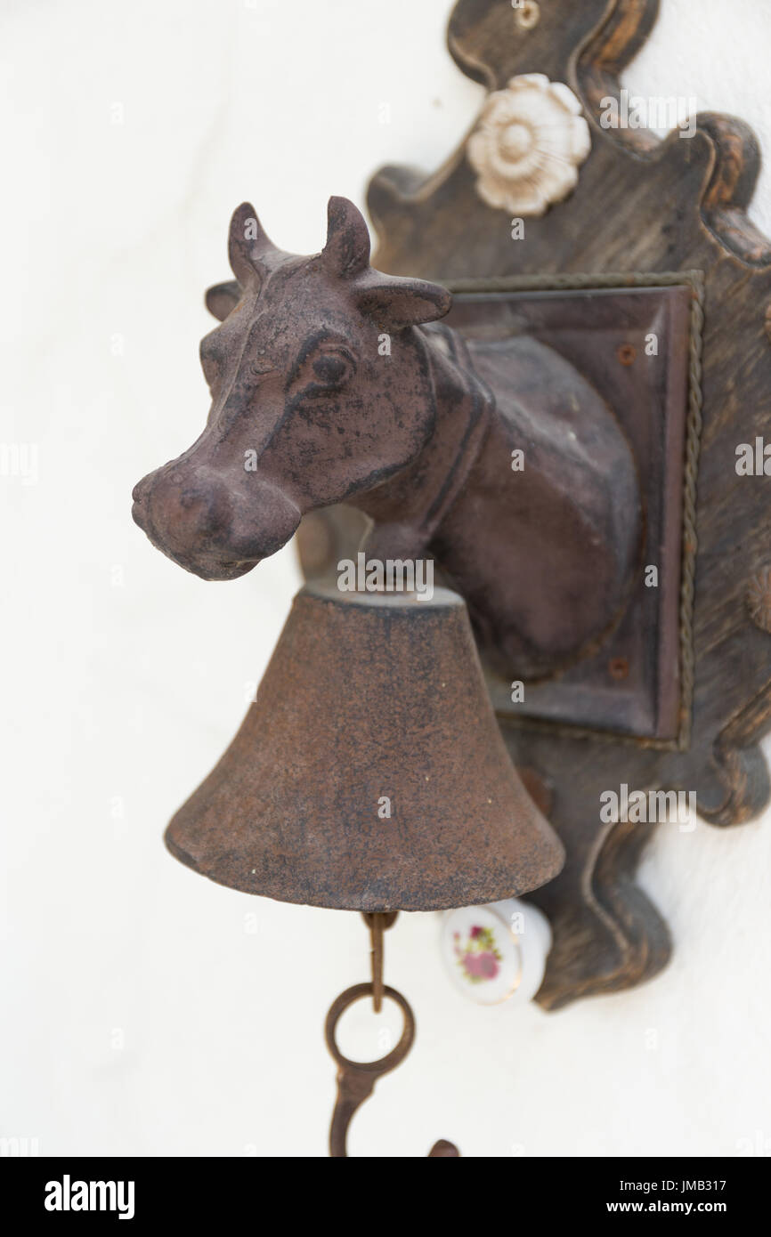 Model of cow's head for hang on the wall Stock Photo Alamy