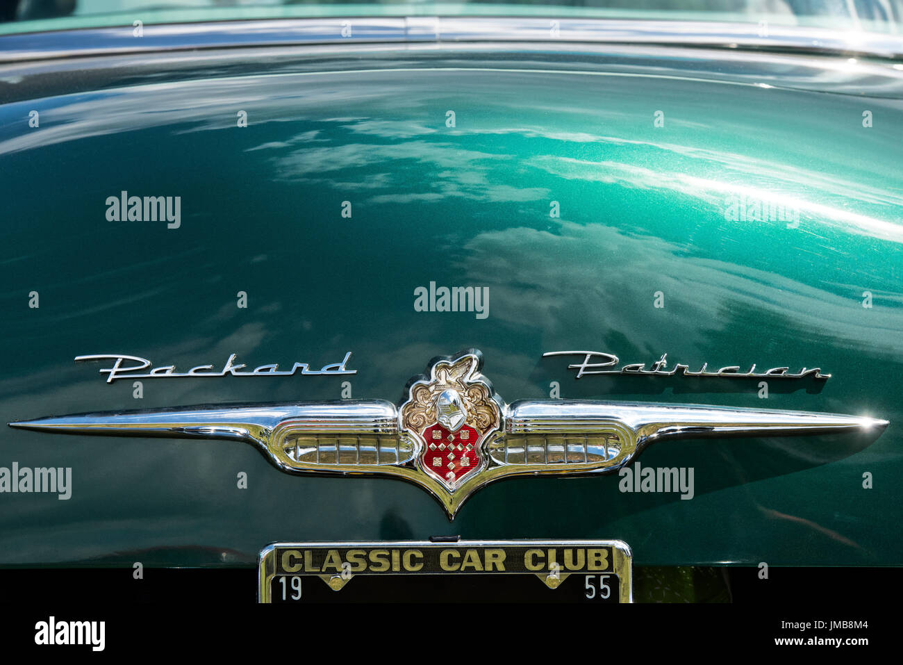 1955 Packard Patrician car with chrome badge detail at an American car show. Essex, UK Stock Photo