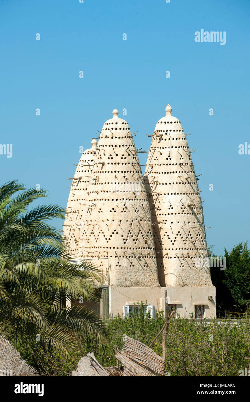 Aegypten, an der Wüstenautobahn Alexandria - Kairo, Taubenhaus (pigeon tower) Stock Photo