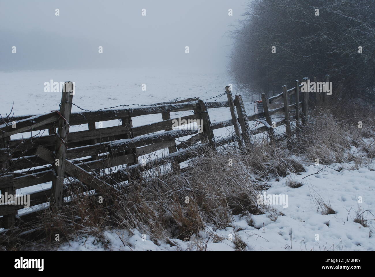Snow covered path and field with wire and wood fence and trees Stock ...