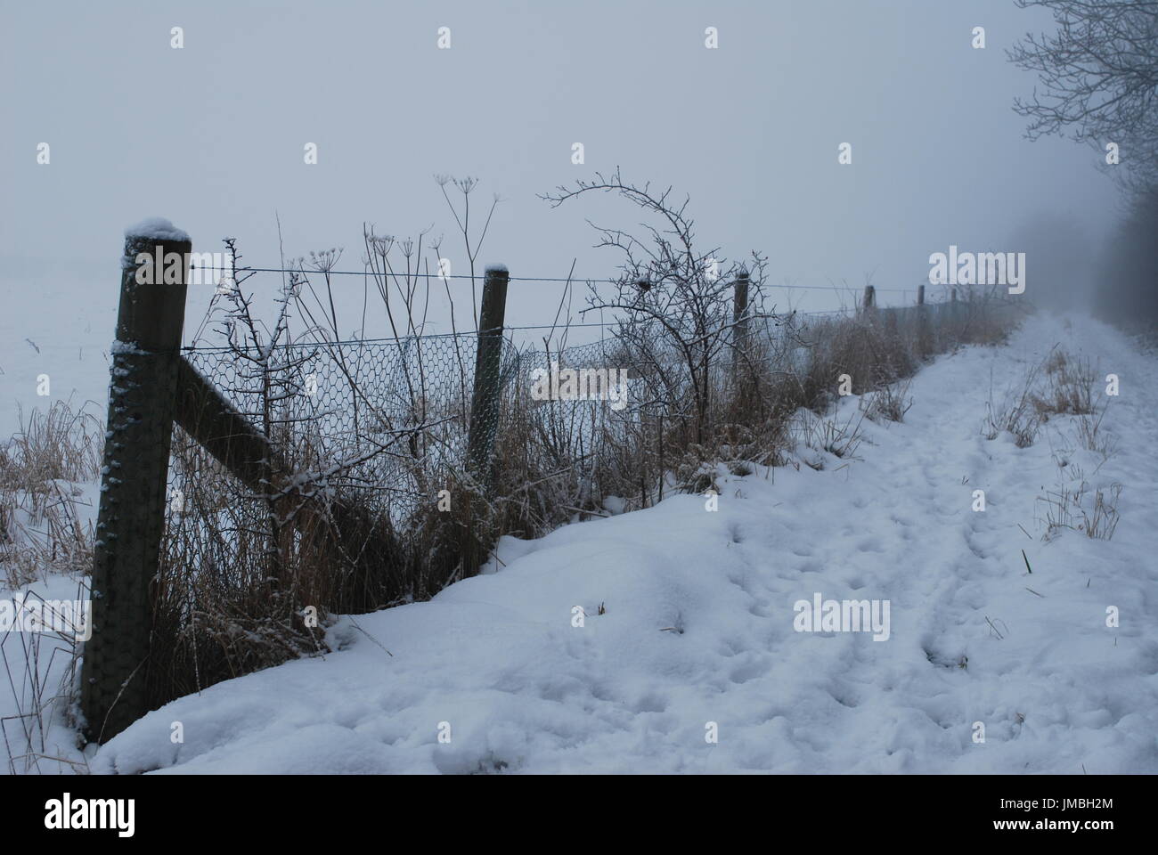 Snow covered path and field with wire and wood fence and trees Stock ...
