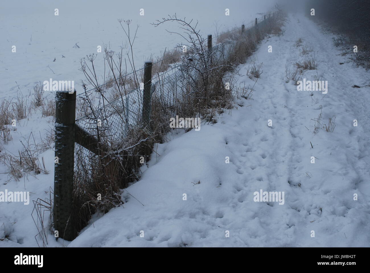 Snow covered path and field with wire and wood fence and trees Stock ...