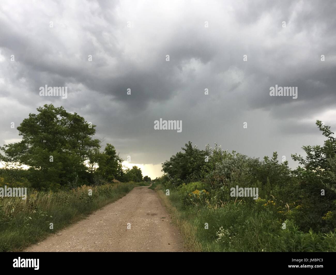 Stormy forest road Stock Photo - Alamy