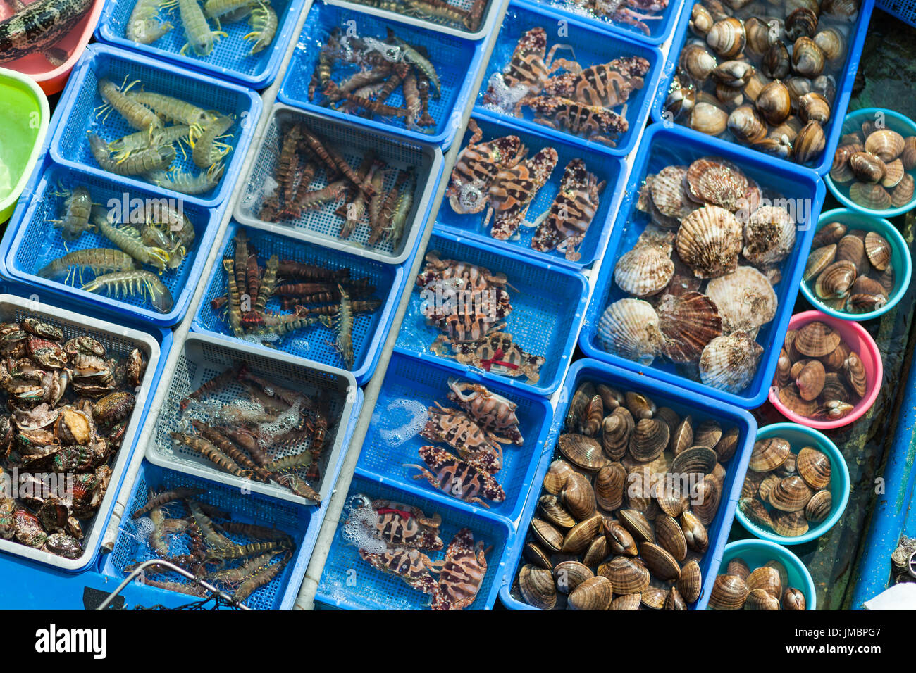 HONG KONG - JANUARY 10, 2015: Fishing boat at Sai Kung pier selling unusual assortment of live seafood. Hong Kong, china Stock Photo