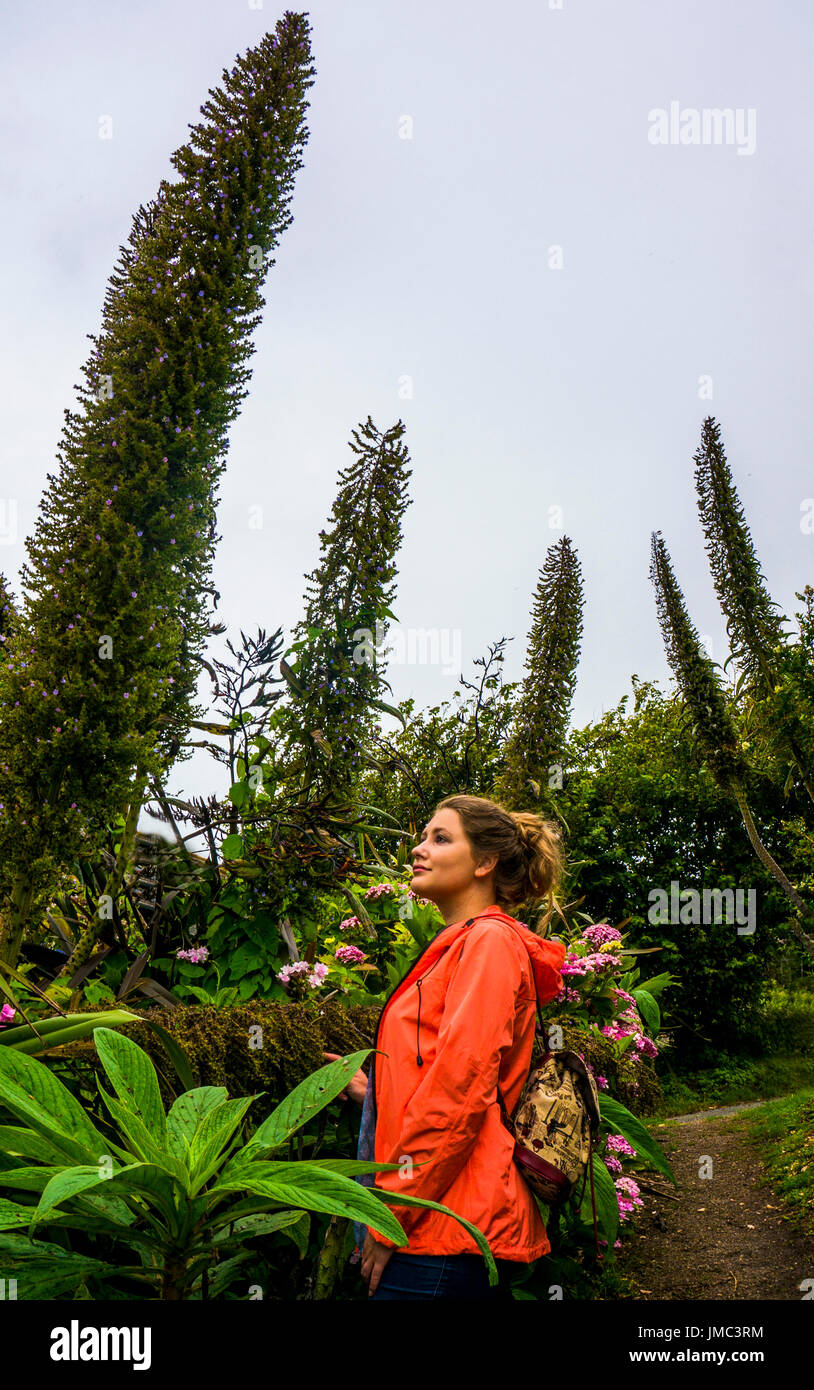 Tall exotic plants in garden towering over attractive young woman