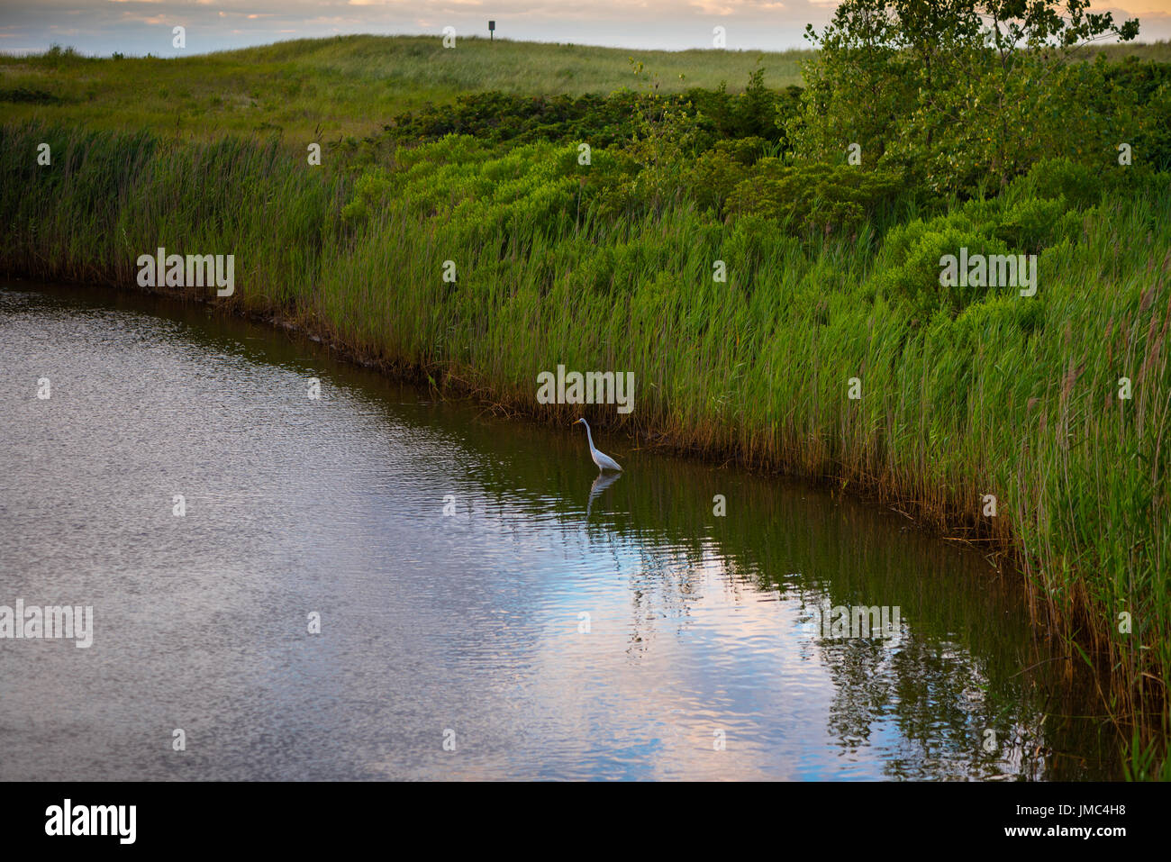 Sea girt hires stock photography and images Alamy