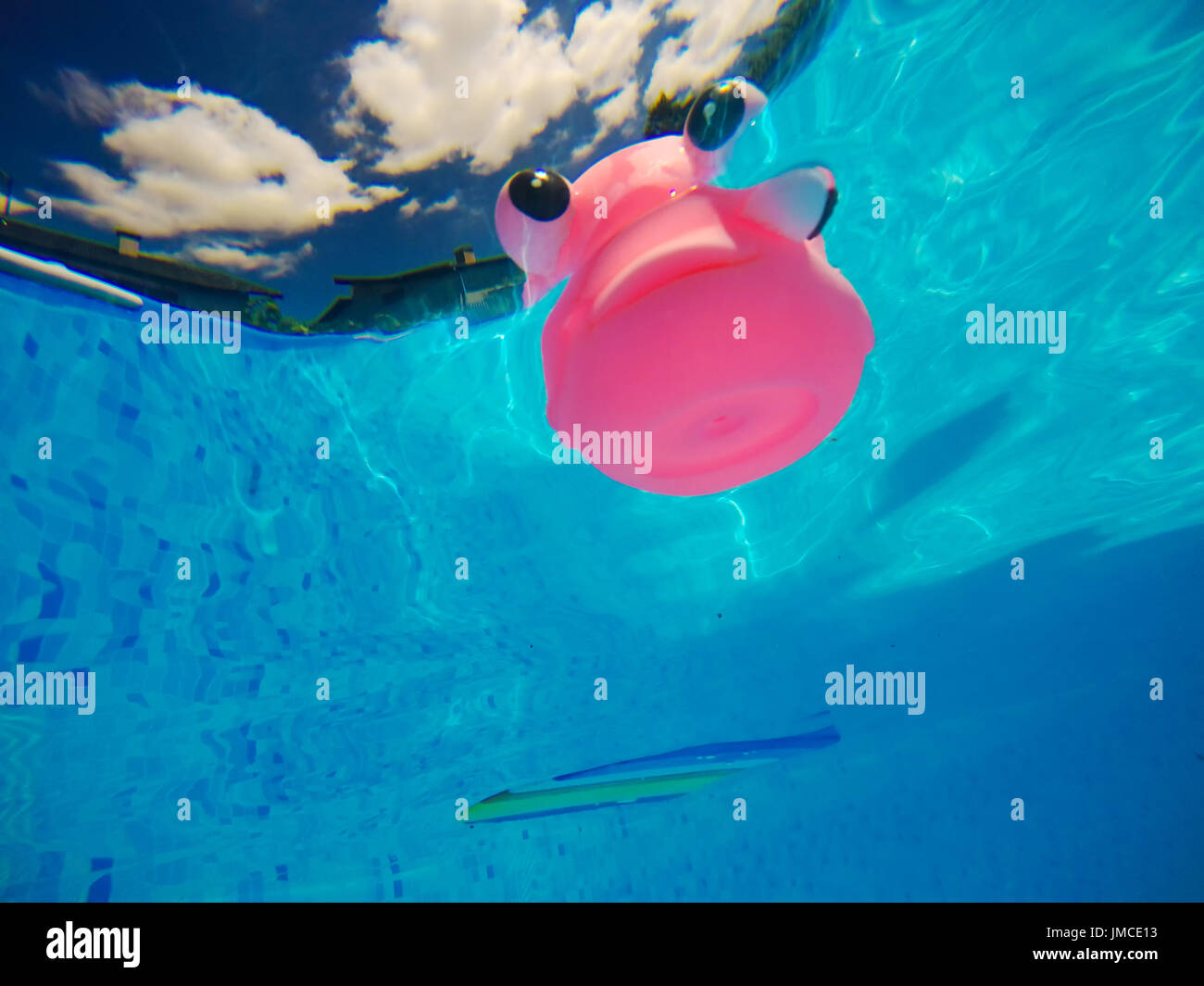 Generic rubber fish toy floating in swimming pool, summertime activity