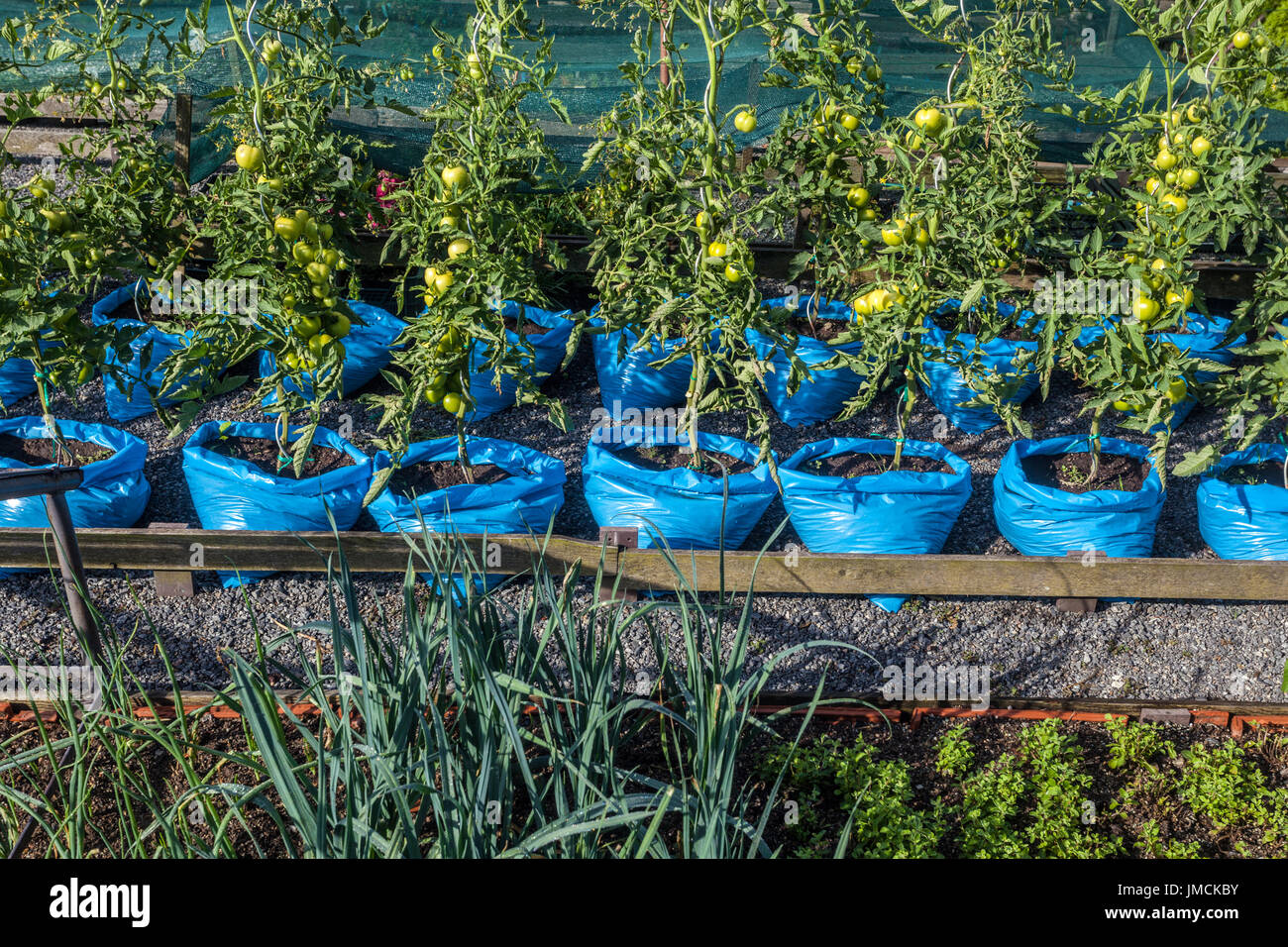 Bags of fruit hires stock photography and images Alamy