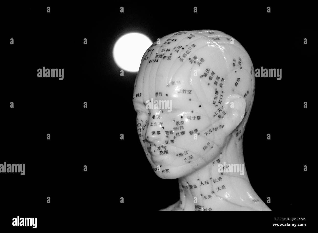 Acupuncture doll hires stock photography and images Alamy