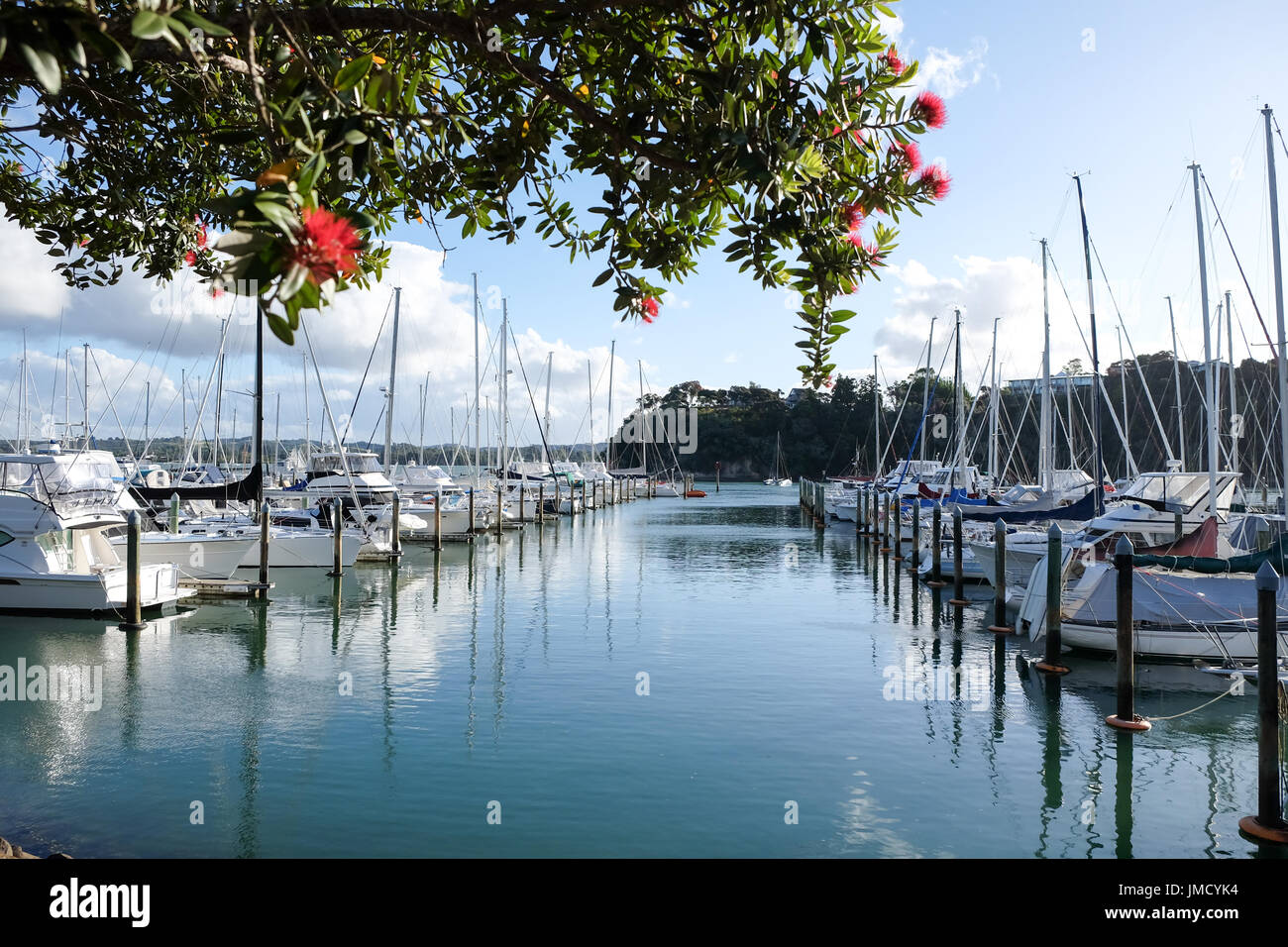 Summer at Doves Bay boat Marina Kerikeri, Northland, New Zealand, NZ, with pohutukawa tree and