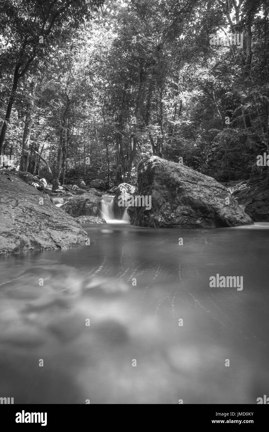 Black and white photograph of rainforest waterfall and riverside scenery taken in the national parks of Sarawak, Malaysia Stock Photo