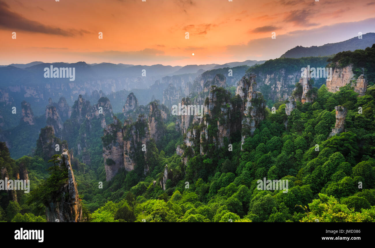Zhangjiajie National Forest Park At Sunset Wulingyuan Hunan