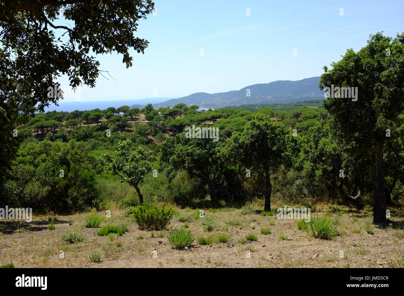 The countryside around Ramatuelle Stock Photo