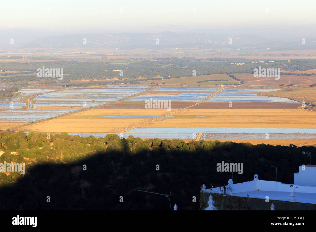 Flat paddy fields with water farmiing rice, Vejer de la Frontera, Cadiz province, Spain Stock Photo