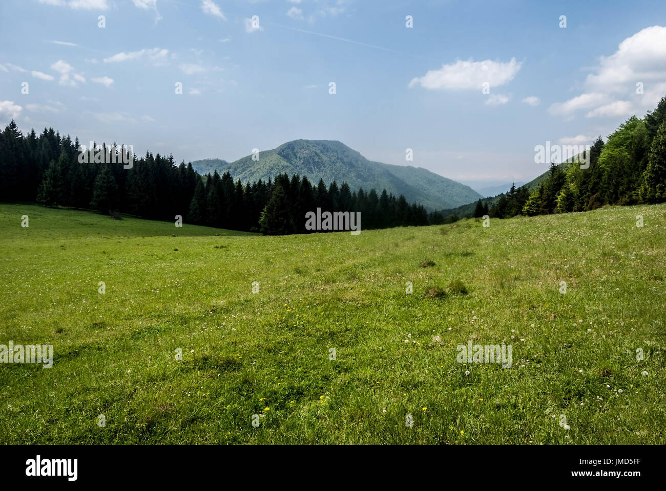 mountain meadow with forest around on Zaskovske sedlo with Ostre mountain ridge on the background and blue sky with clouds in spring Velka Fatra mount Stock Photo