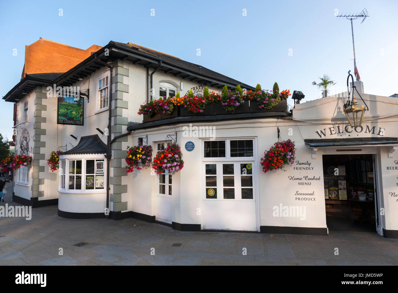 The Cabbage Patch / local pub / public house. Twickenham UK; busy / crowded / popular venue on rugby match days. Stock Photo