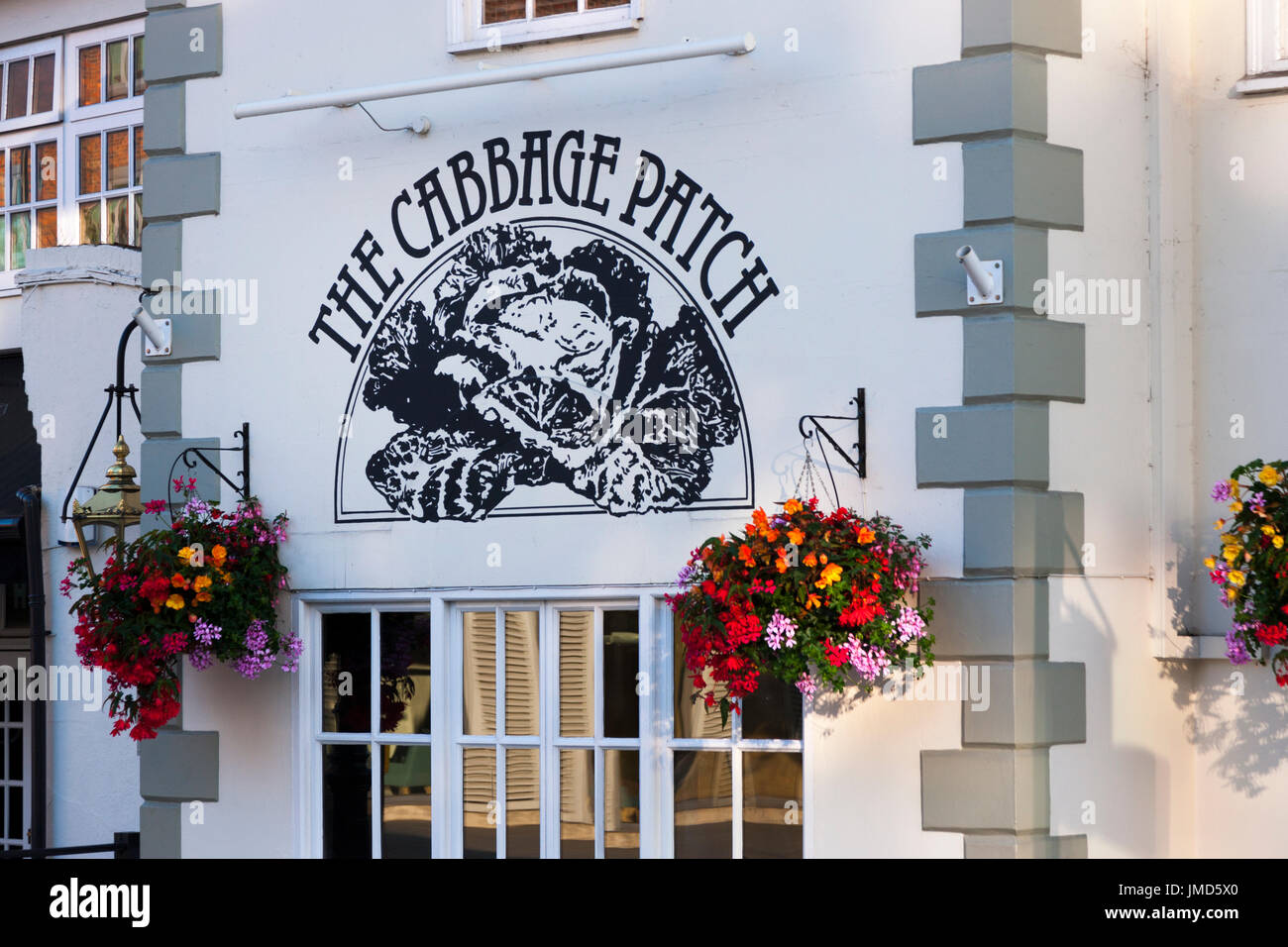 cabbage patch house