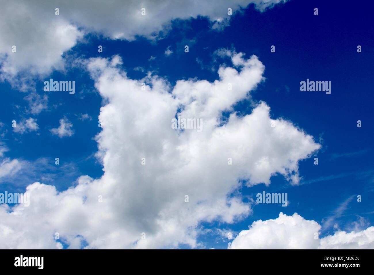 A day at the farm in Walton Kentucky Stock Photo Alamy