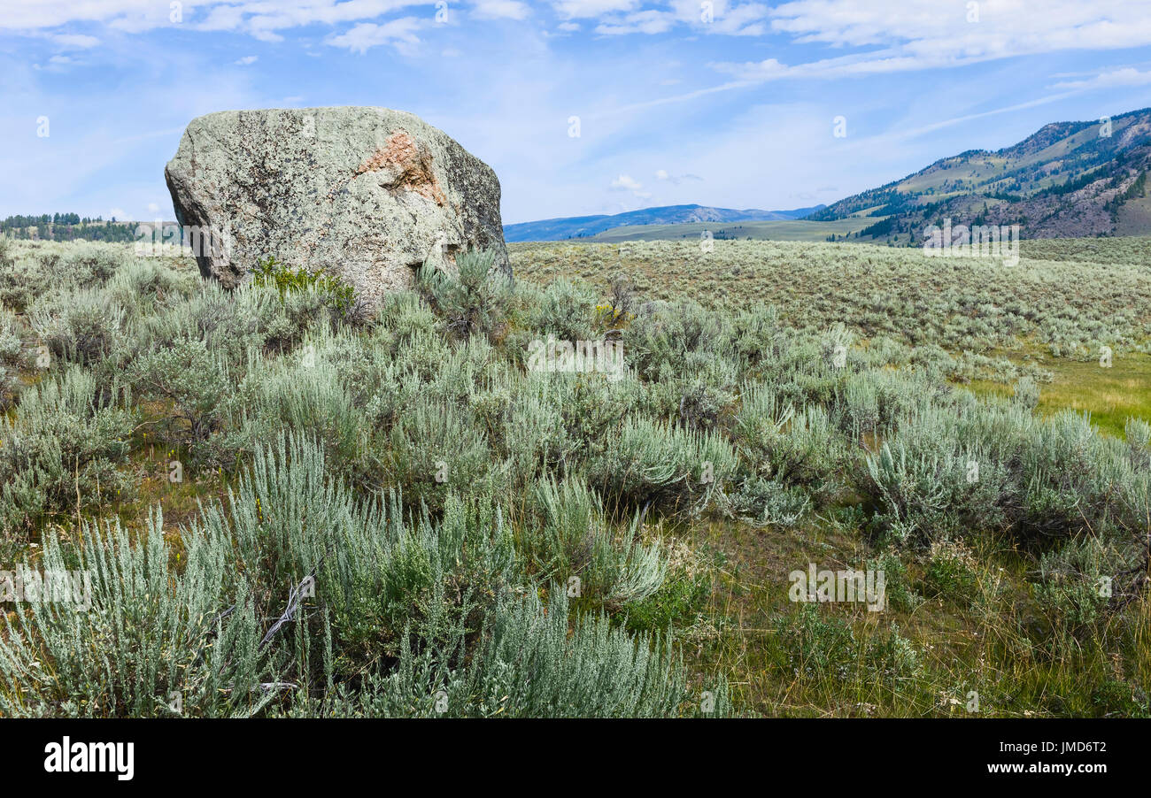 The pristine landscape in Yellowstone National Park on a bright summer day showing hills, sagebrush, and a boulder in Wyoming, USA. Stock Photo