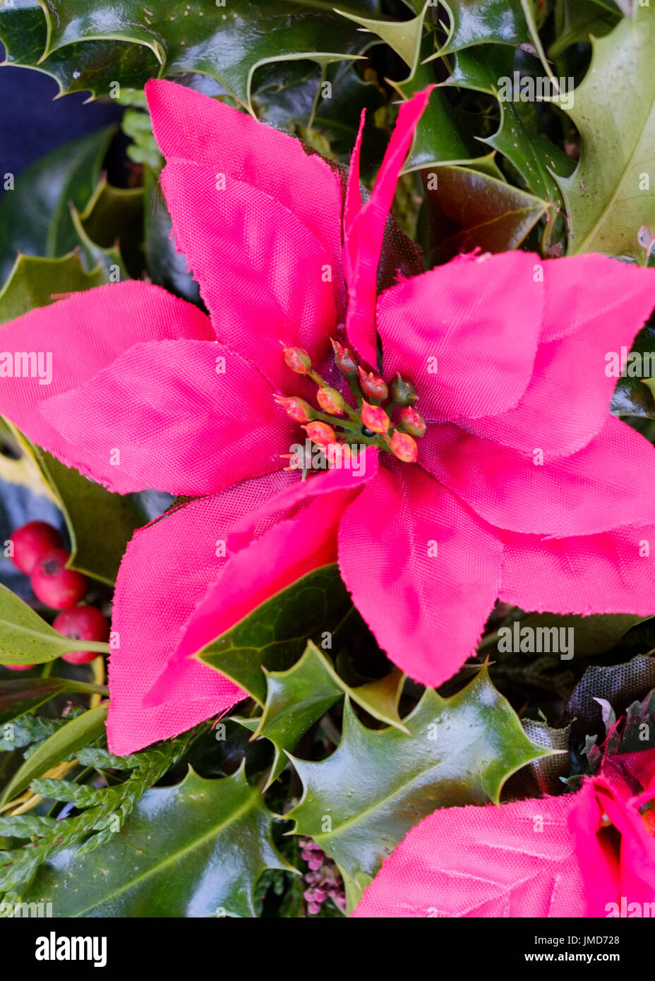 Christmas decoration of artificial flower, surrounded by holly leaves,  attached to a wreath. Stock Photo