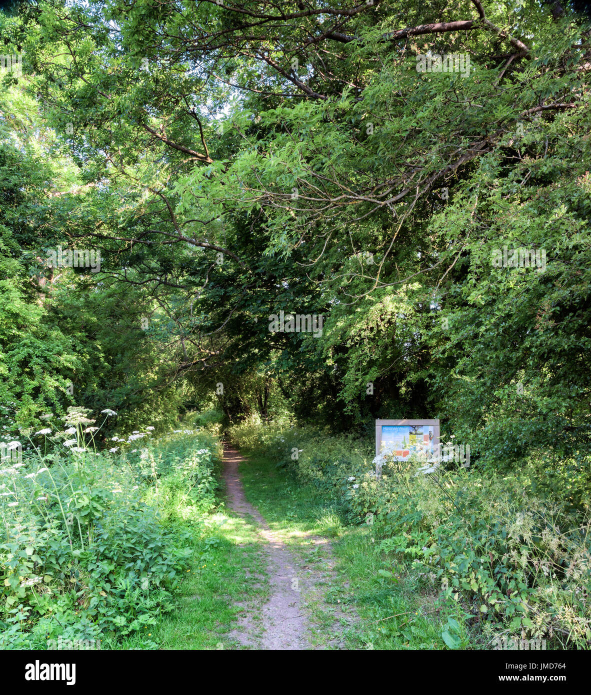 Manor Vale nature reserve, Kirkbymoorside Stock Photo Alamy