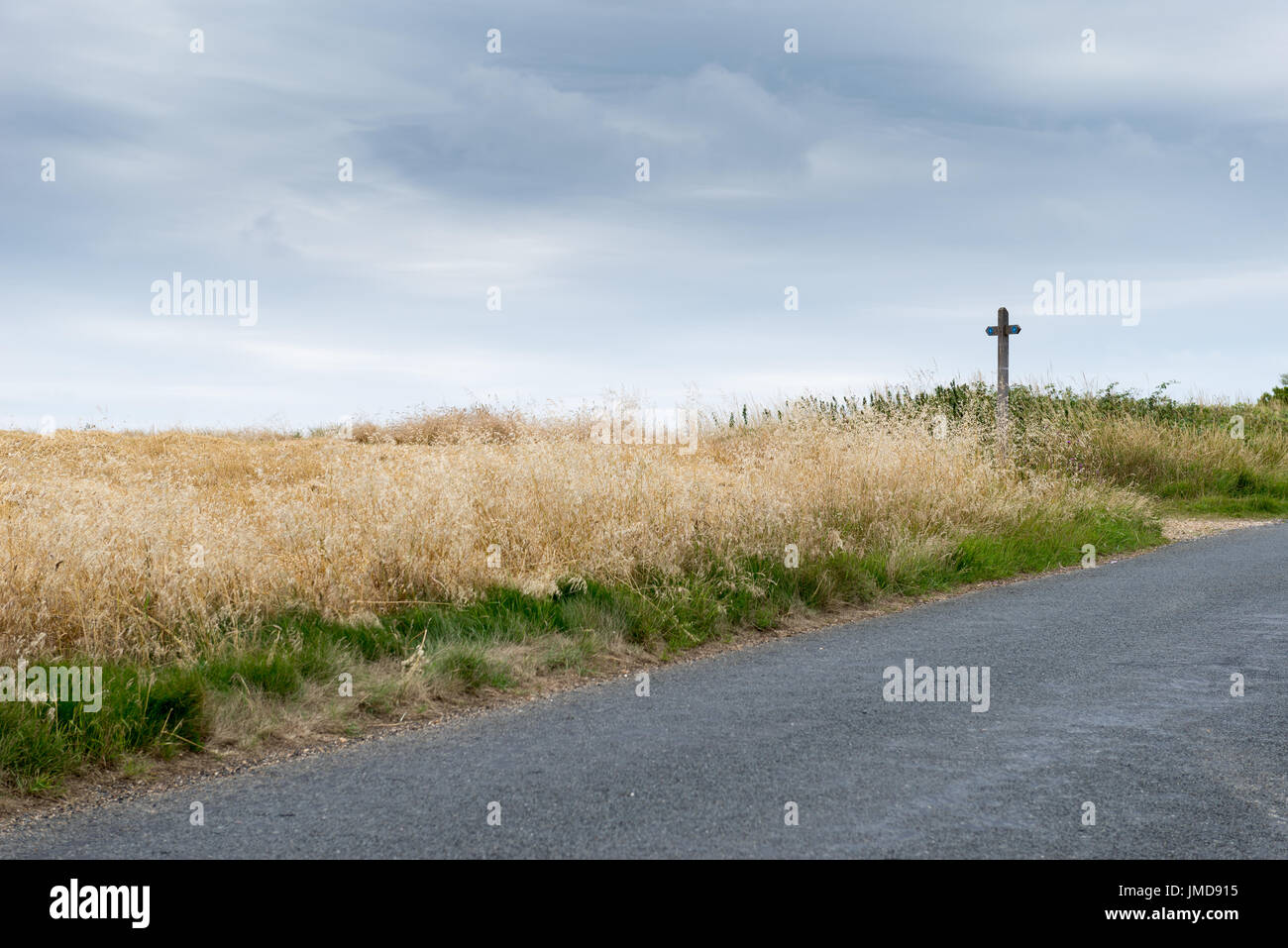 Wheat field with tractor tracks Stock Photo - Alamy
