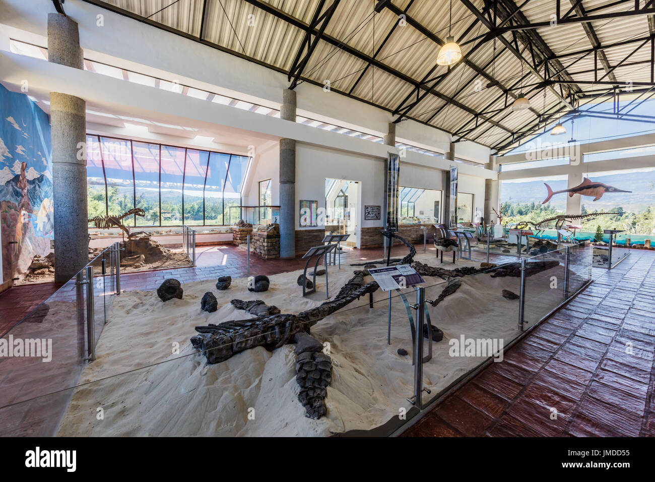 Villa De Leyva, Colombia - February 7, 2017 : fossil dinosaur of Centro de  Investigaciones Paleontológicas Villa de Leyva Boyaca in Colombia South  America Stock Photo - Alamy