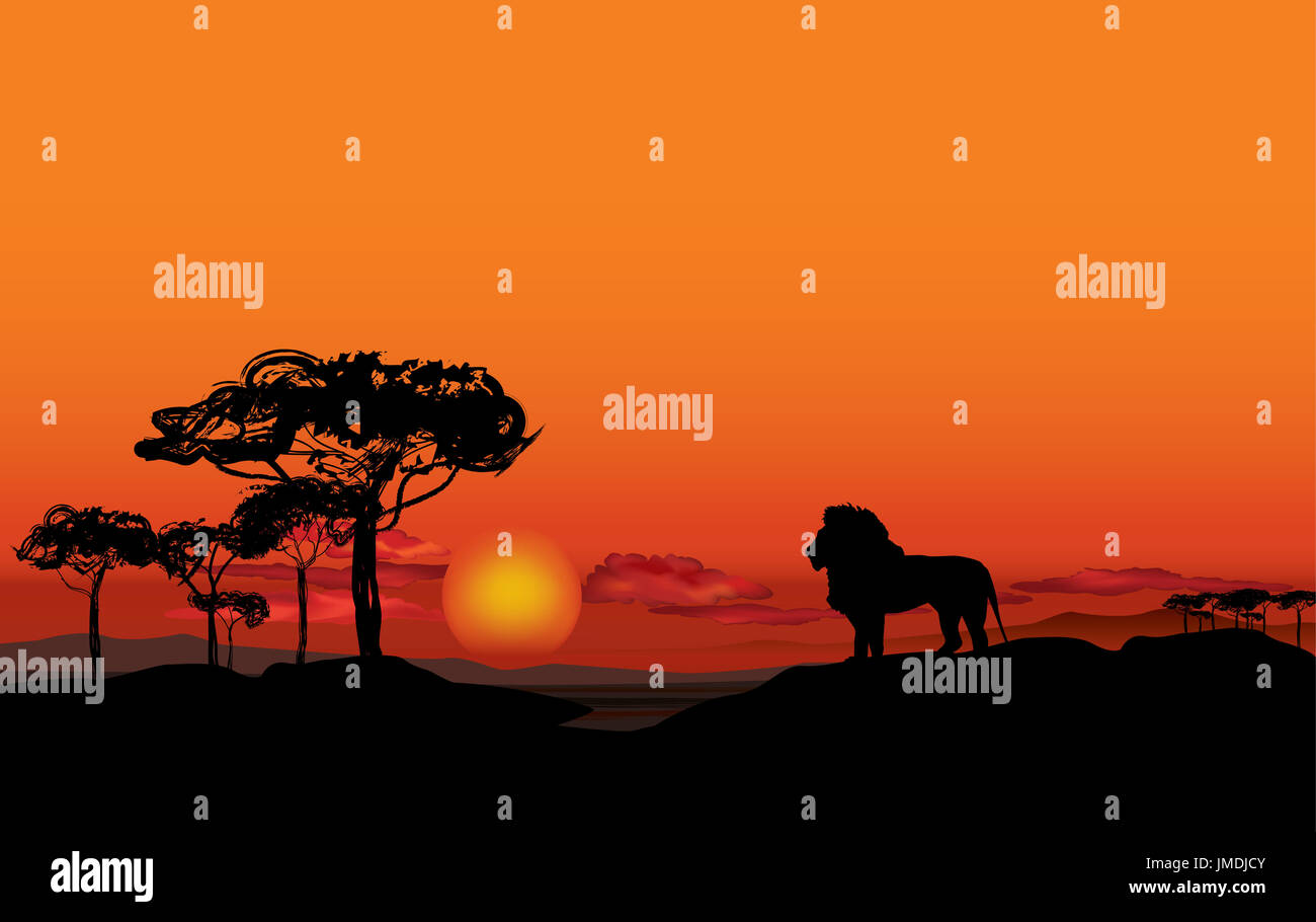 CORFOTO Sunset View African Safari Backdrop Fabric 8x6ft Wild Animals Acacia Trees Elephants and Lions Silhouette Background for Safari Themed Birthday Party Decorations Events Photo Props