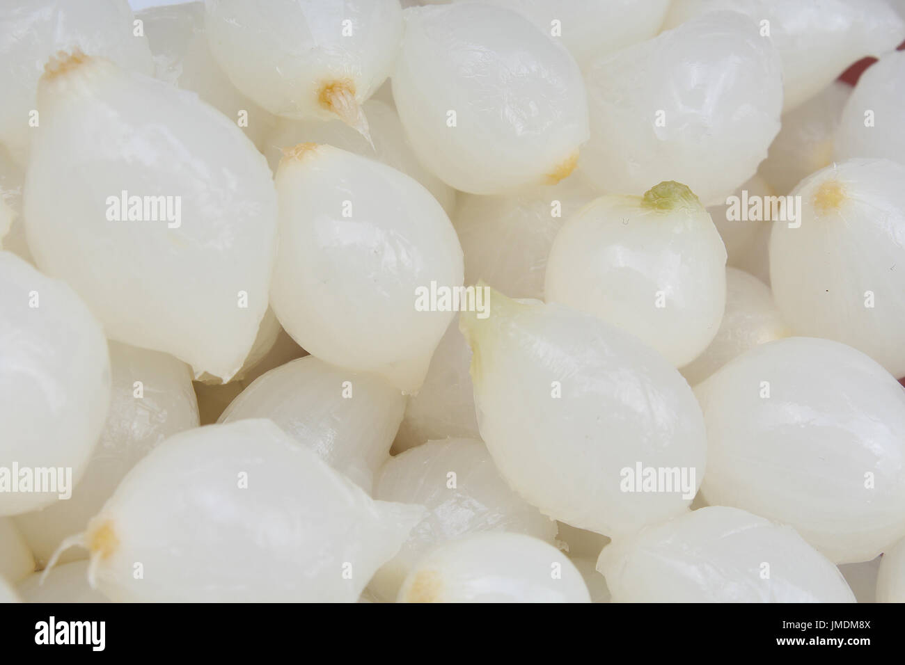 White shallots texture. Shallot onion pattern Stock Photo Alamy