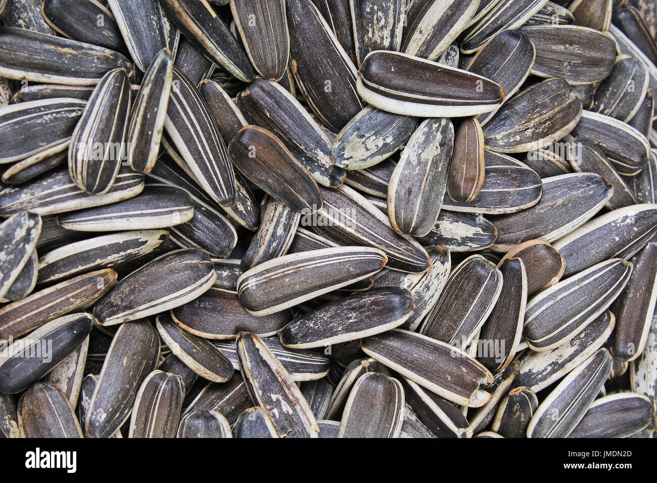 Sunflower seeds. Sunflower seed texture as background. Black and white ...