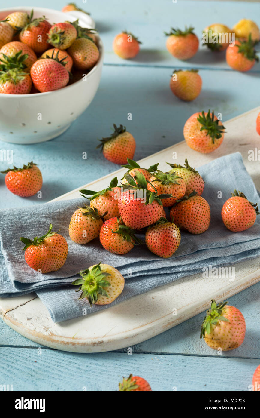 Raw Organic Pink and White Blush Strawberries Ready to Eat Stock Photo