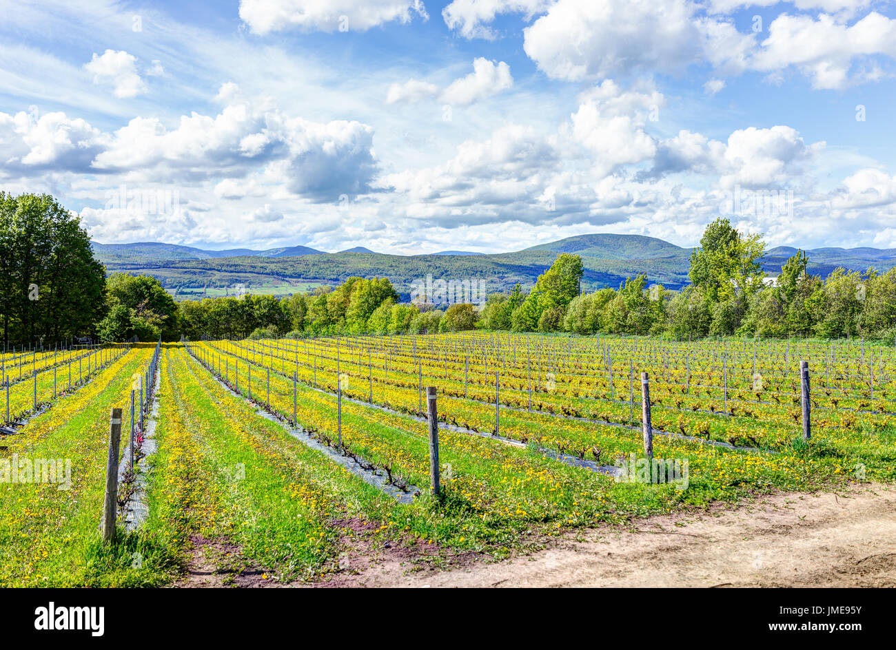 Ile d'orleans quebec hires stock photography and images Alamy