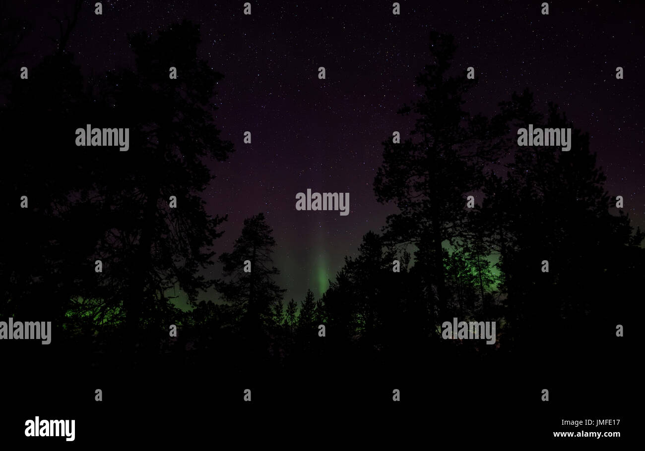 Dancing against the night sky hi-res stock photography and images - Alamy
