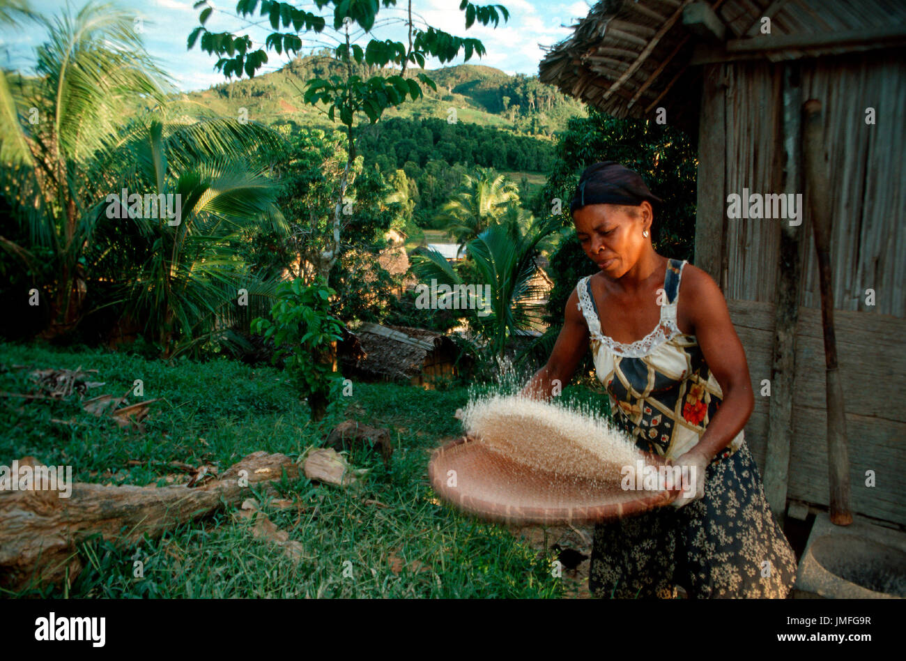 Женщины живущие на острове. Остров Мадагаскар жители. Рис Мадагаскар. Культура Мадагаскара. Жизнь на острове Мадагаскар.