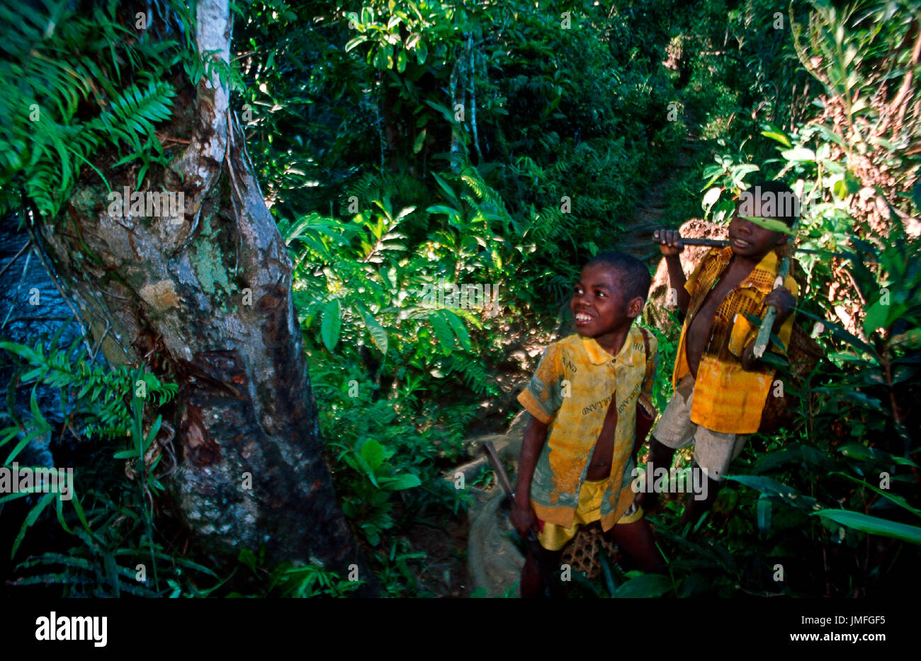 Children in forest in Madagascar Stock Photo