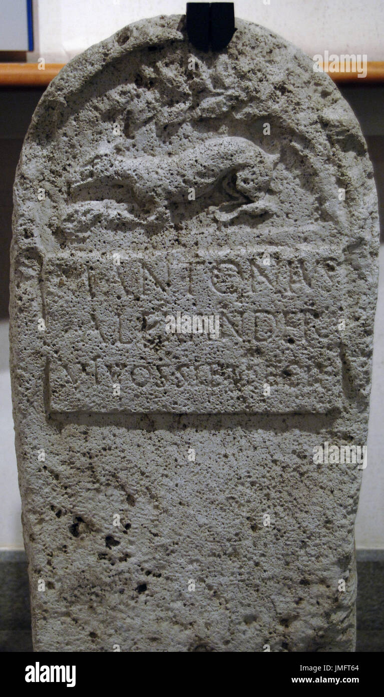 Memorial stone. Decored Cippo with the depiction of a dog. Property of the freedam M. Antonius Alexander. 1st century BC. Via Appia, Rome. National Roman Museum (Baths of Diocletian). Rome, Italy. Stock Photo