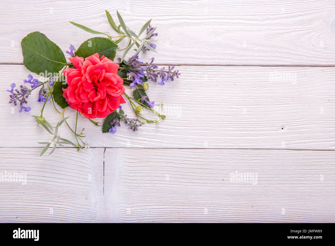 Red rose on white wooden background. David Austin Rose Golden Celebration Stock Photo
