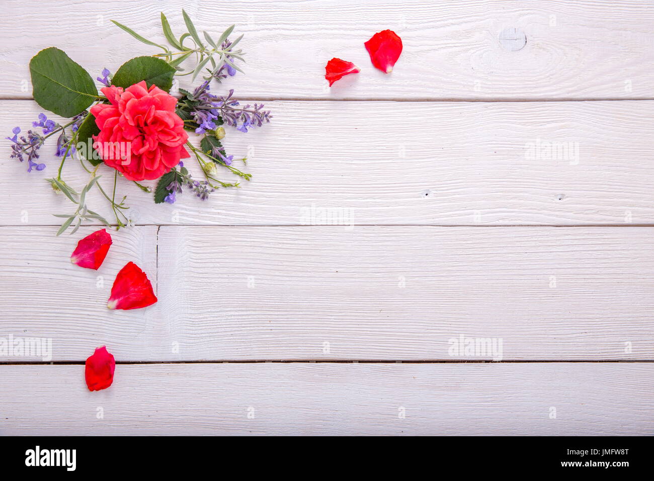 Red rose on white wooden background. David Austin Rose Golden Celebration Stock Photo