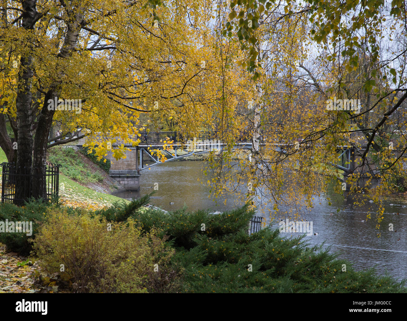River and bridge in golden autumn city park Stock Photo - Alamy