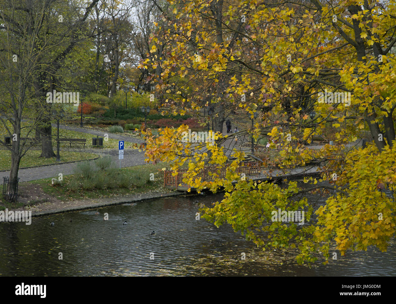 River and bridge in golden autumn city park Stock Photo - Alamy