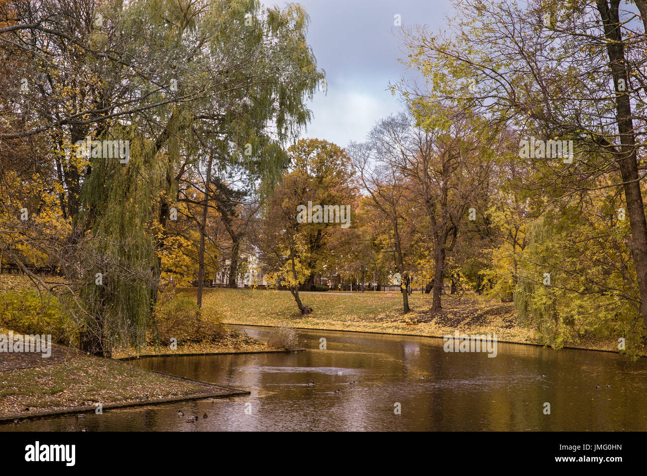 River and bridge in golden autumn city park Stock Photo - Alamy