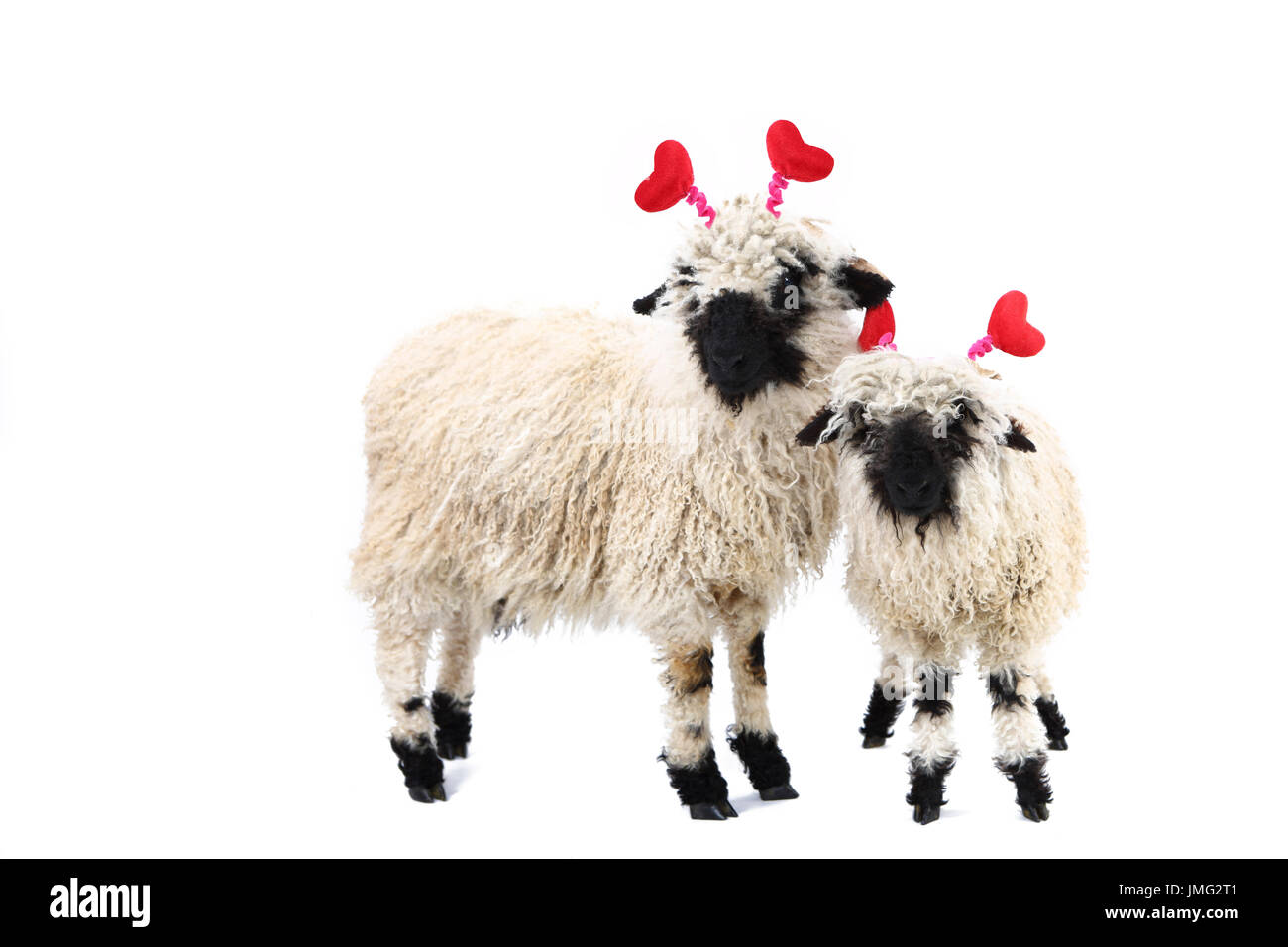 Cute Smiling Sheep/Ram/Ewe/Lamb  Blown Glass Christmas Tree Ornament  Germany 