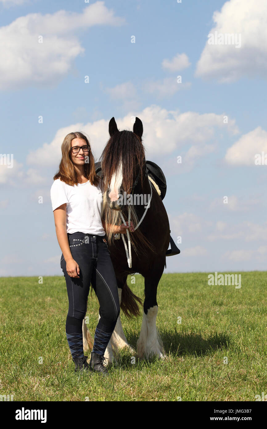 Gypsy Cob. Rider standing on a meadow, next to a mare. Germany Stock Photo