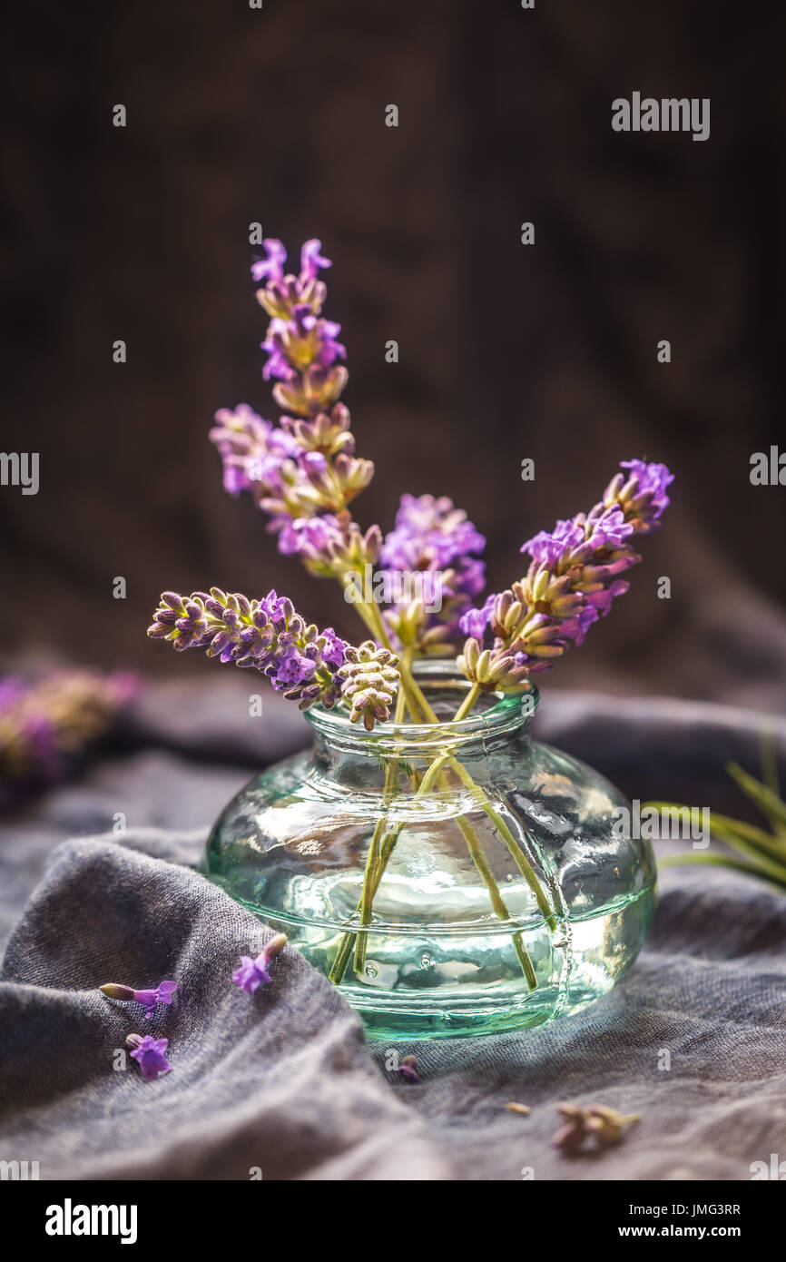 Small Bunch Of Lavender Flowers In A Glass Vase Against Dark Stock