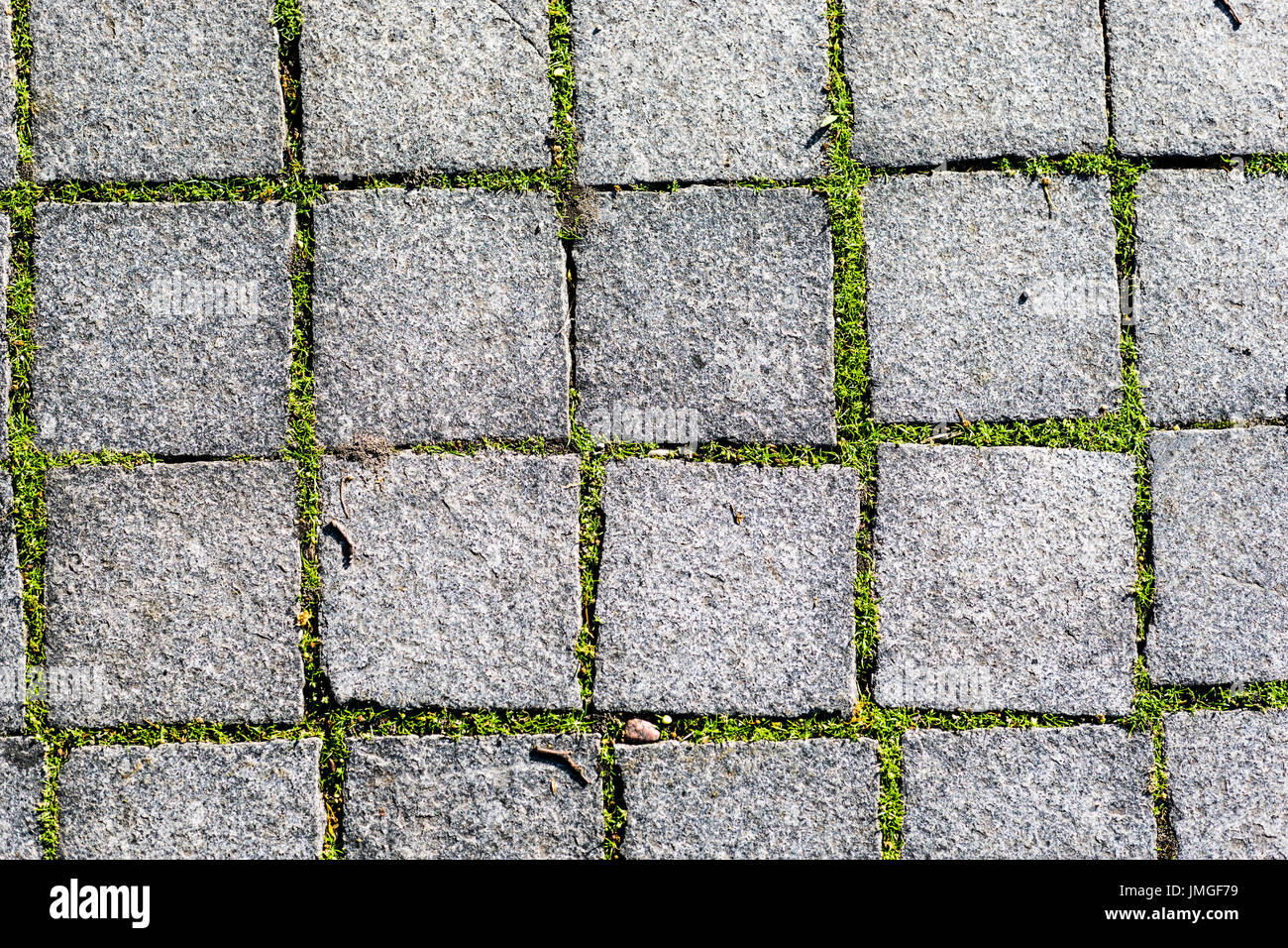 Texture of paved granite tiles road Stock Photo Alamy