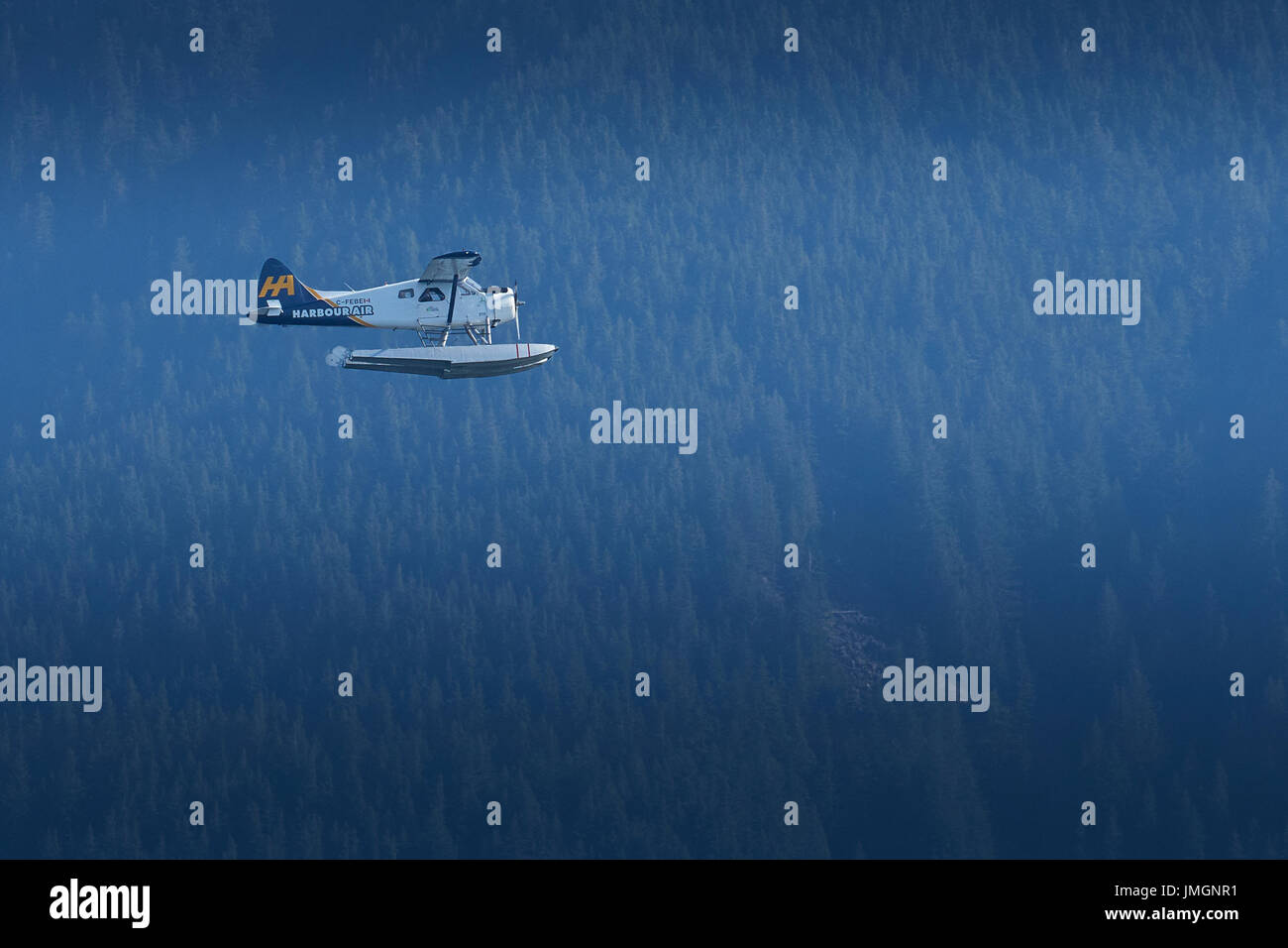 Classic Harbour Air Services de Havilland Beaver Floatplane Flying Over A Remote Forrest In British Columbia, Canada. Stock Photo