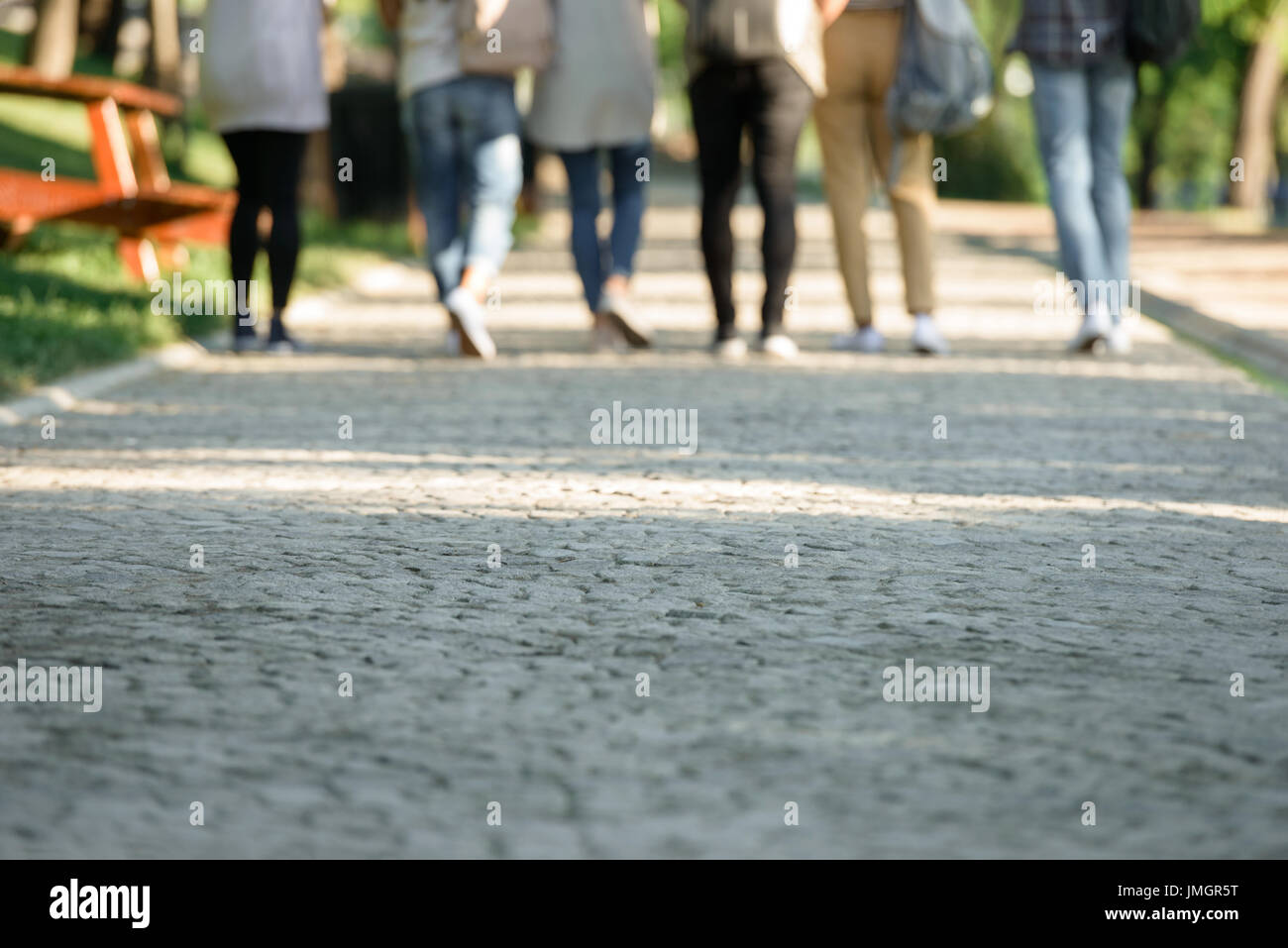 Back view cropped picture of multiethnic group of young students ...