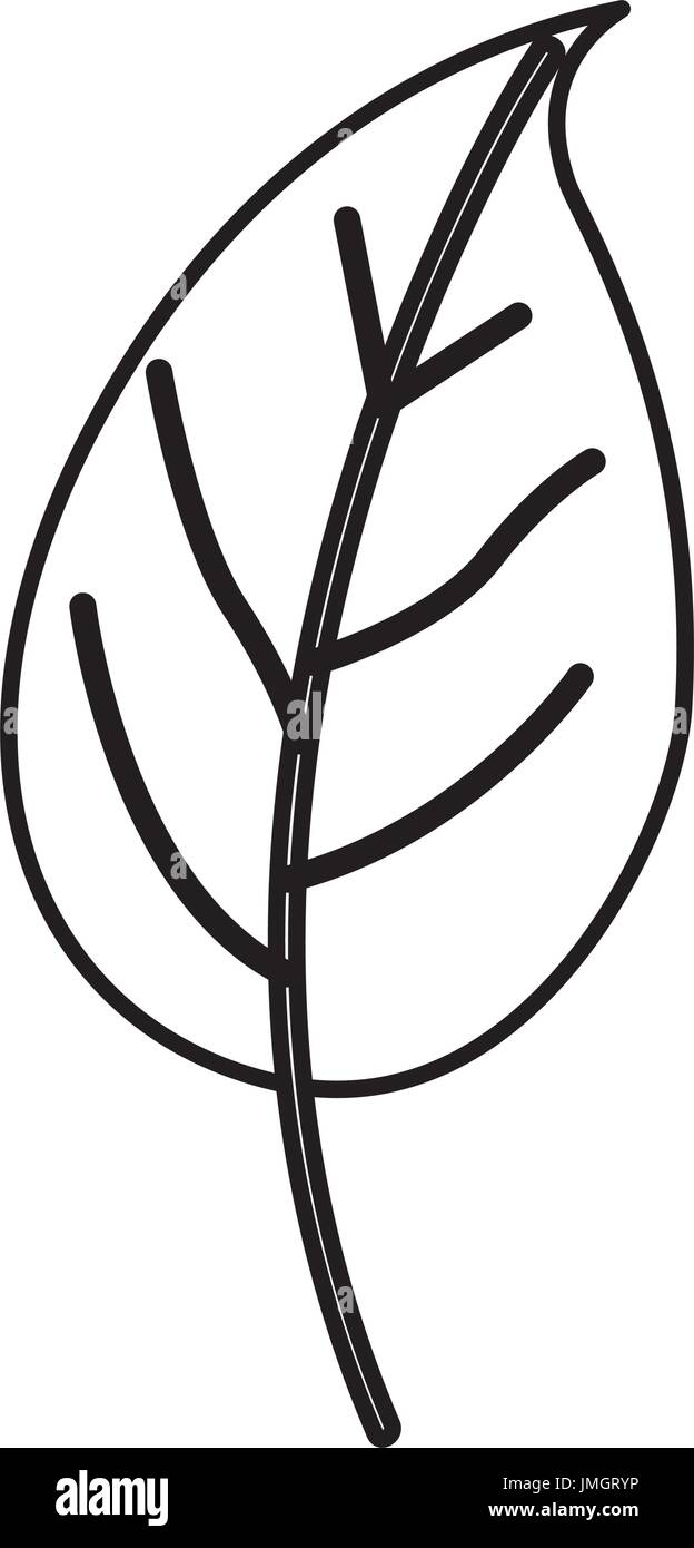 Sketch contour of simple leaf plant side view Vector Image