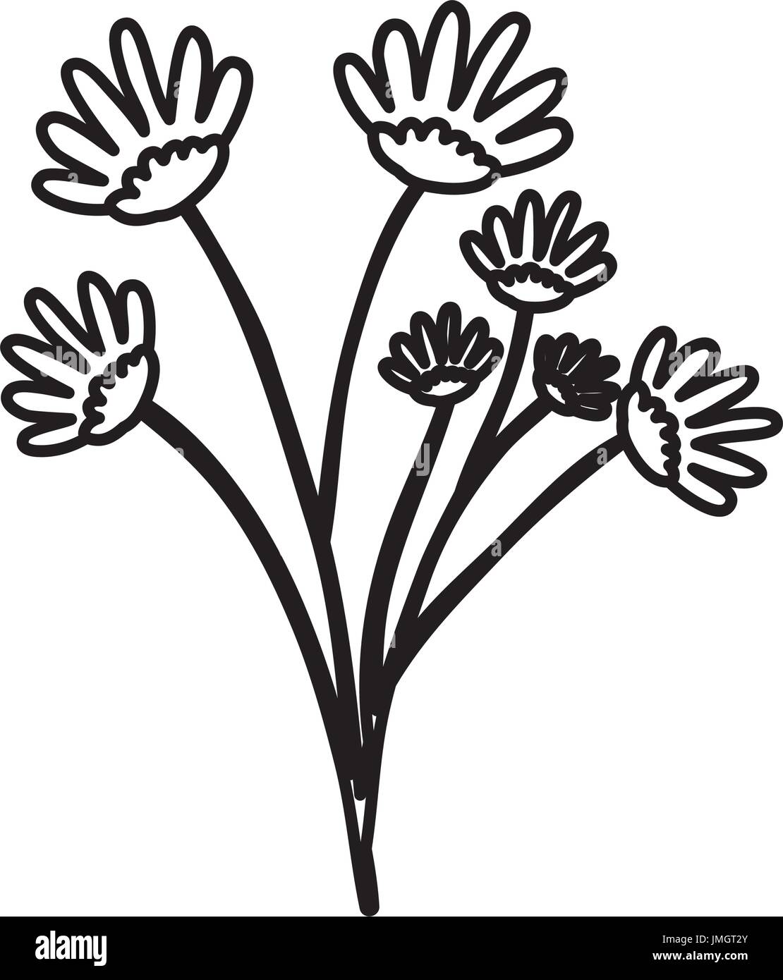 sketch contour of hand drawing daisy flower bouquet with several ramifications Stock Vector